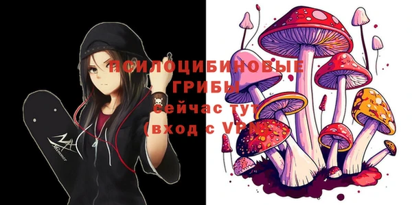 Альфа ПВП Абинск