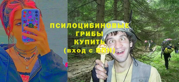 Альфа ПВП Алексин