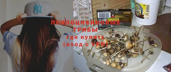 Альфа ПВП Алексин