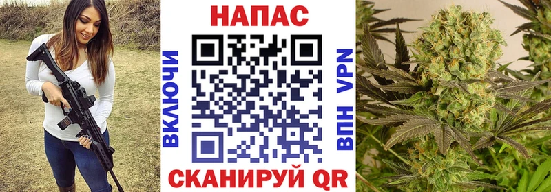Шишки марихуана сатива  Зуевка 